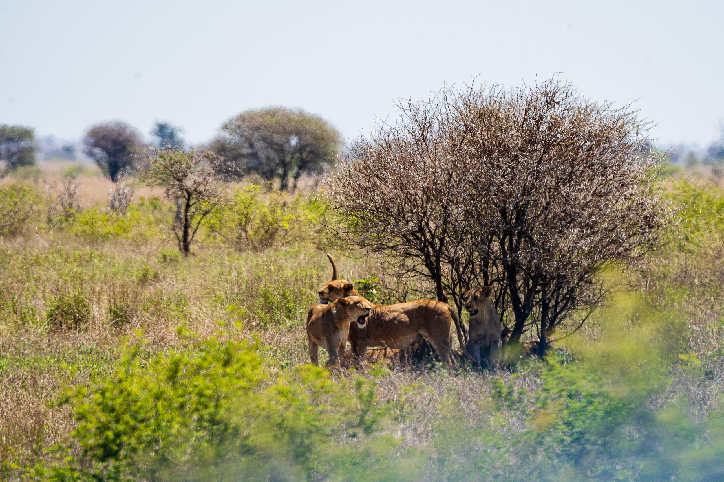 20231005 115028 Fotobuch Südafrika 04673